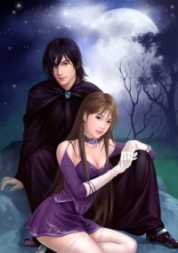 《憐君昭華