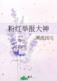 粉红举报大神